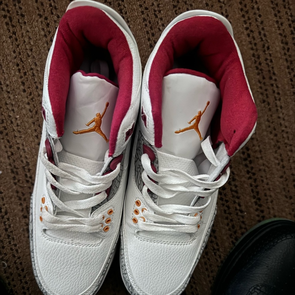 Air Jordan retro 3’s